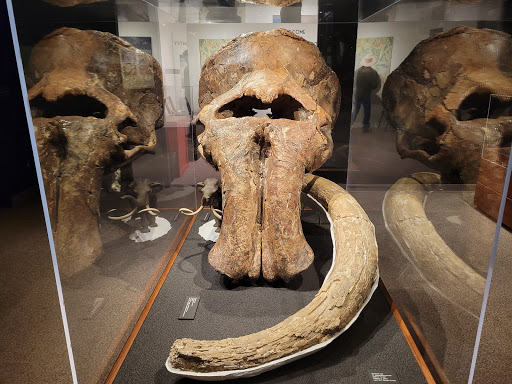 Science Museum «Museum of the Rockies», reviews and photos, 600 W Kagy Blvd, Bozeman, MT 59717, USA