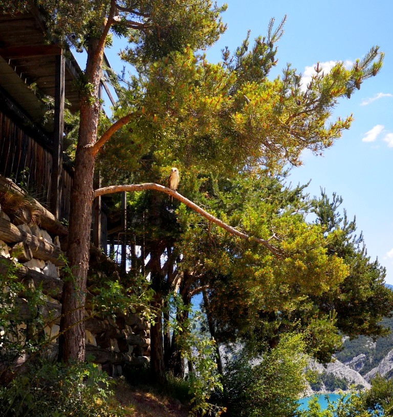 Photo n° 2 de l'avis de Thierry.E fait le 17/06/2022 à 17:40