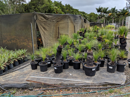 Andy's Wholesale Plants