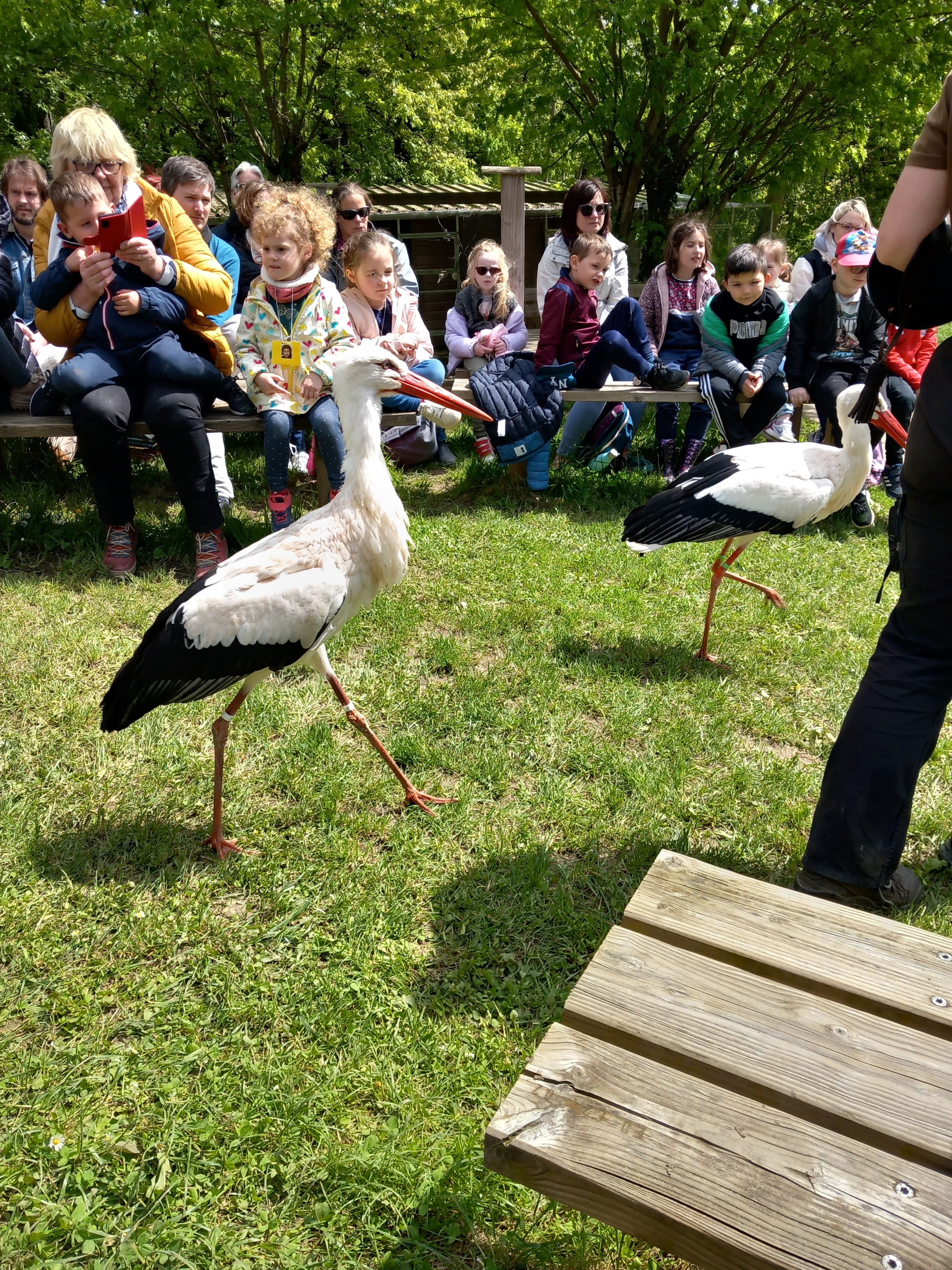 Photo n° 2 de l'avis de Melanie. fait le 16/05/2023 à 20:49