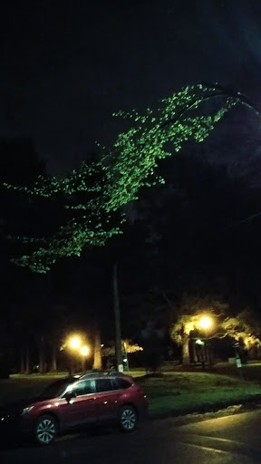 Park «Oregon Park», reviews and photos, NE Oregon St & NE 30th Ave, Portland, OR 97232, USA