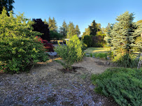 Sustainable Landscape Services LLC - Photo 8 - Car repair in , Eugene