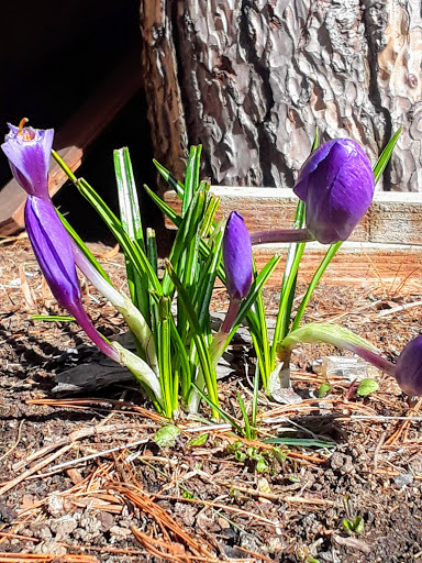Nature Preserve «Steer Swamp Conservation Area», reviews and photos, 188 Washington St, Marblehead, MA 01945, USA