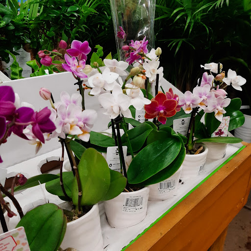 Home Improvement Store «The Home Depot», reviews and photos, 41 Nashua Rd, Londonderry, NH 03053, USA