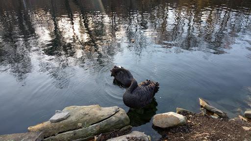 Zoo «Cleveland Metroparks Zoo», reviews and photos, 3900 Wildlife Way, Cleveland, OH 44109, USA