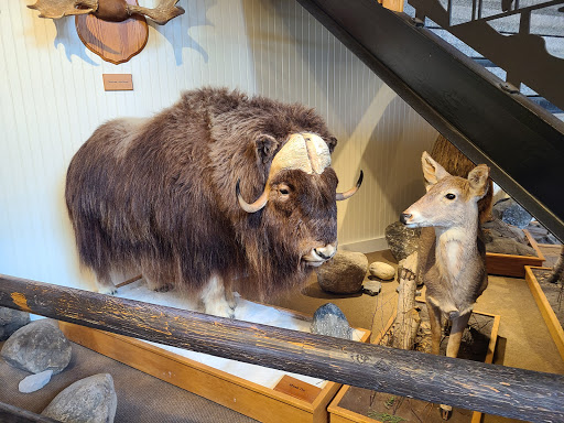 Clothing Store «L.L. Bean», reviews and photos, 95 Main St, Freeport, ME 04032, USA