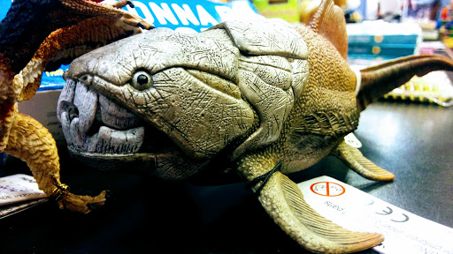 Toy Store «Alakazam Toys & Gifts», reviews and photos, 100 E Main St, Charlottesville, VA 22902, USA