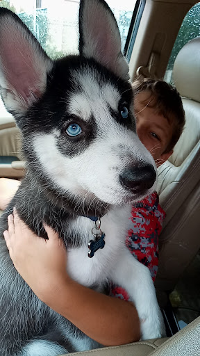 Pet Supply Store «Pet Supplies Plus», reviews and photos, 191 Alps Rd Suite 15, Athens, GA 30606, USA