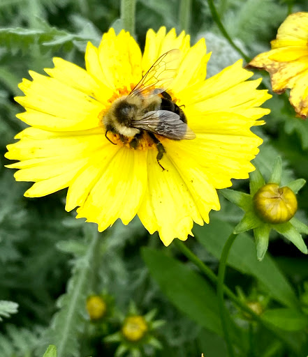 Home Improvement Store «The Home Depot», reviews and photos, 899 County St, Taunton, MA 02780, USA