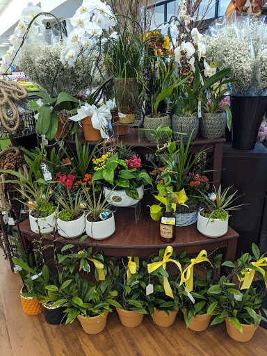 Grocery Store «Safeway», reviews and photos, 6200 Pacific Ave SE, Lacey, WA 98503, USA