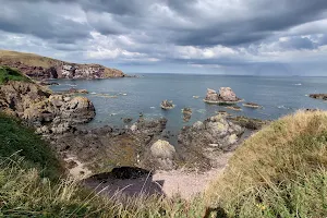 Dive St Abbs image
