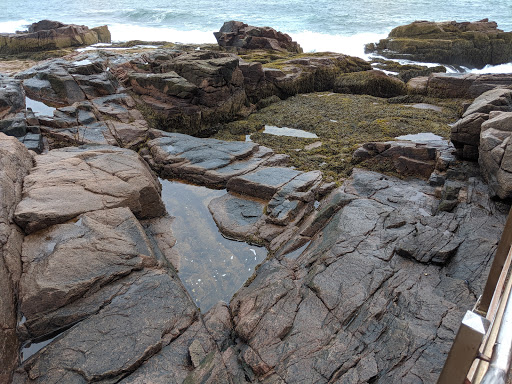 Sightseeing Tour Agency «Acadia National Park Tours», reviews and photos, 53 Main St, Bar Harbor, ME 04609, USA