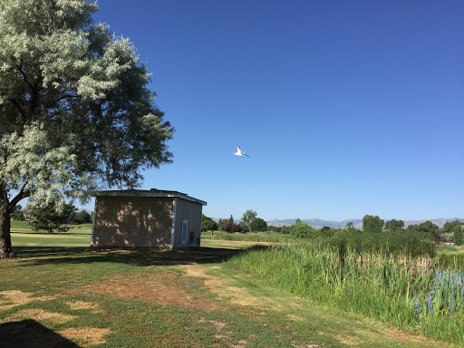 Public Golf Course «City of Longmont Twin Peaks Golf Course», reviews and photos, 1200 Cornell Dr, Longmont, CO 80503, USA