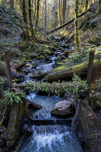 Wildwood Trail