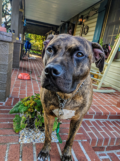 Grocery Store «Safeway», reviews and photos, 1313 Londontown Blvd, Eldersburg, MD 21784, USA