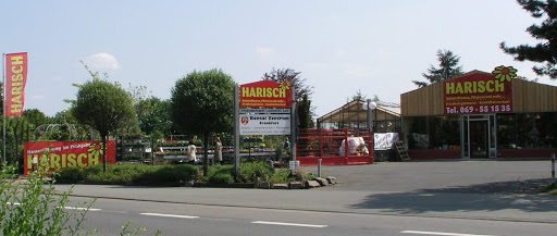 Harisch Blumen GmbH