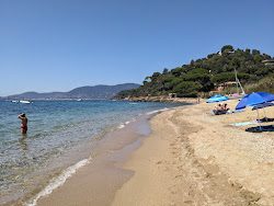 Plage d'Heraclee'in fotoğrafı kısmen tatil bölgesi