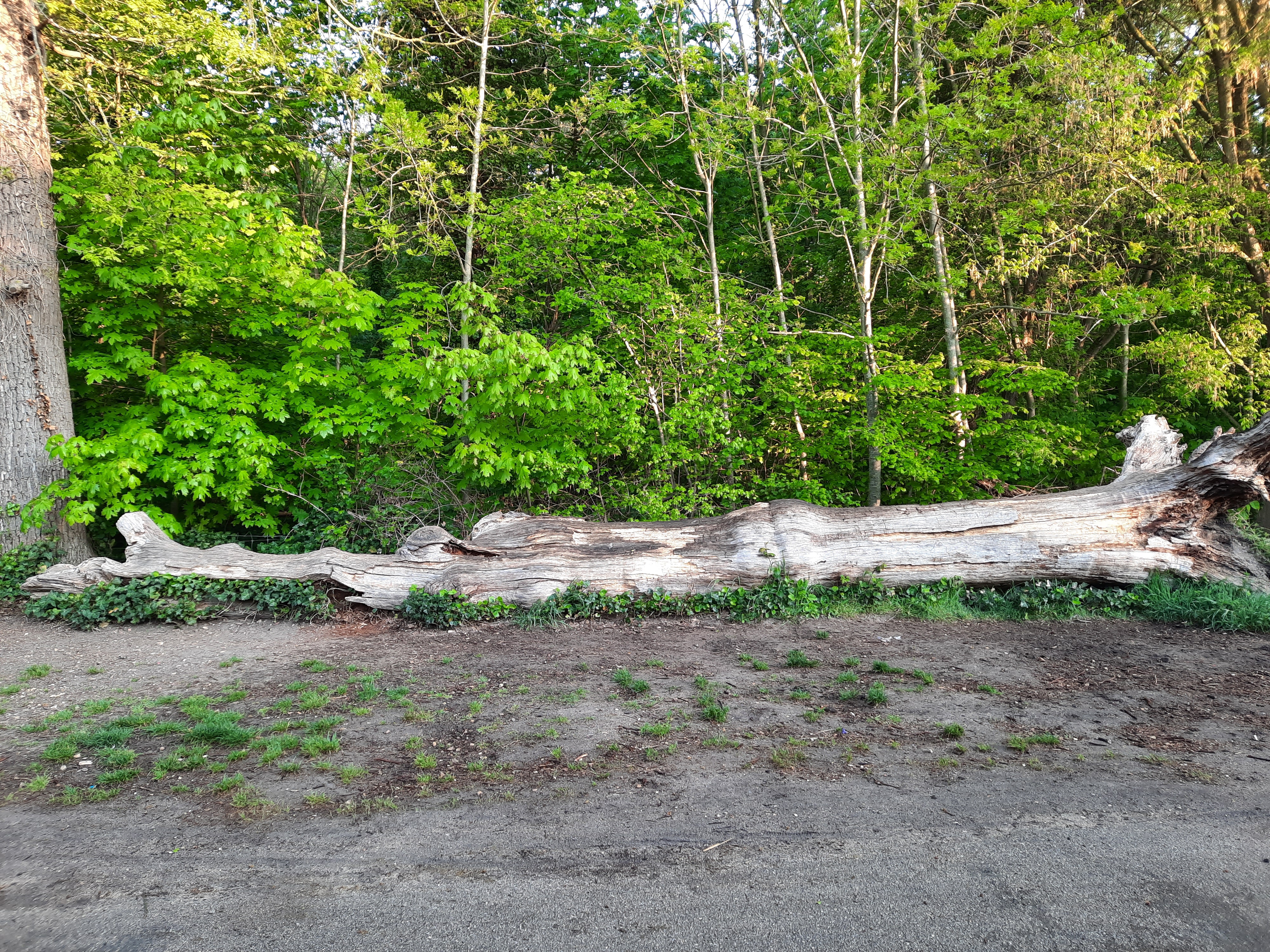 Photo n° 3 de l'avis de samy.t fait le 20/04/2021 à 19:47