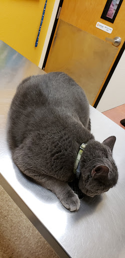 Pet Supply Store «PetSmart», reviews and photos, 5857 NJ-42, Turnersville, NJ 08012, USA