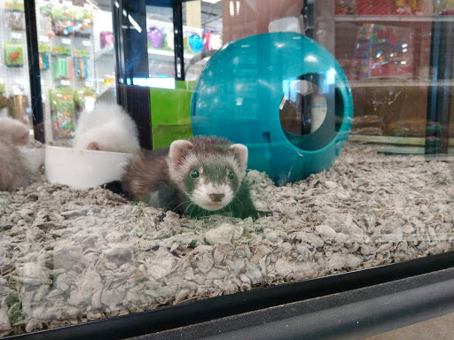 Pet Supply Store «Petco Animal Supplies», reviews and photos, 1930 SW Wanamaker Rd, Topeka, KS 66604, USA