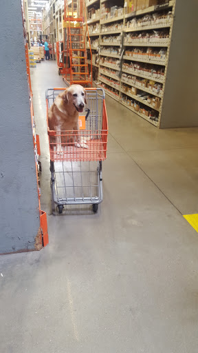 Home Improvement Store «The Home Depot», reviews and photos, 3901 Old Jacksonville Hwy, Tyler, TX 75701, USA