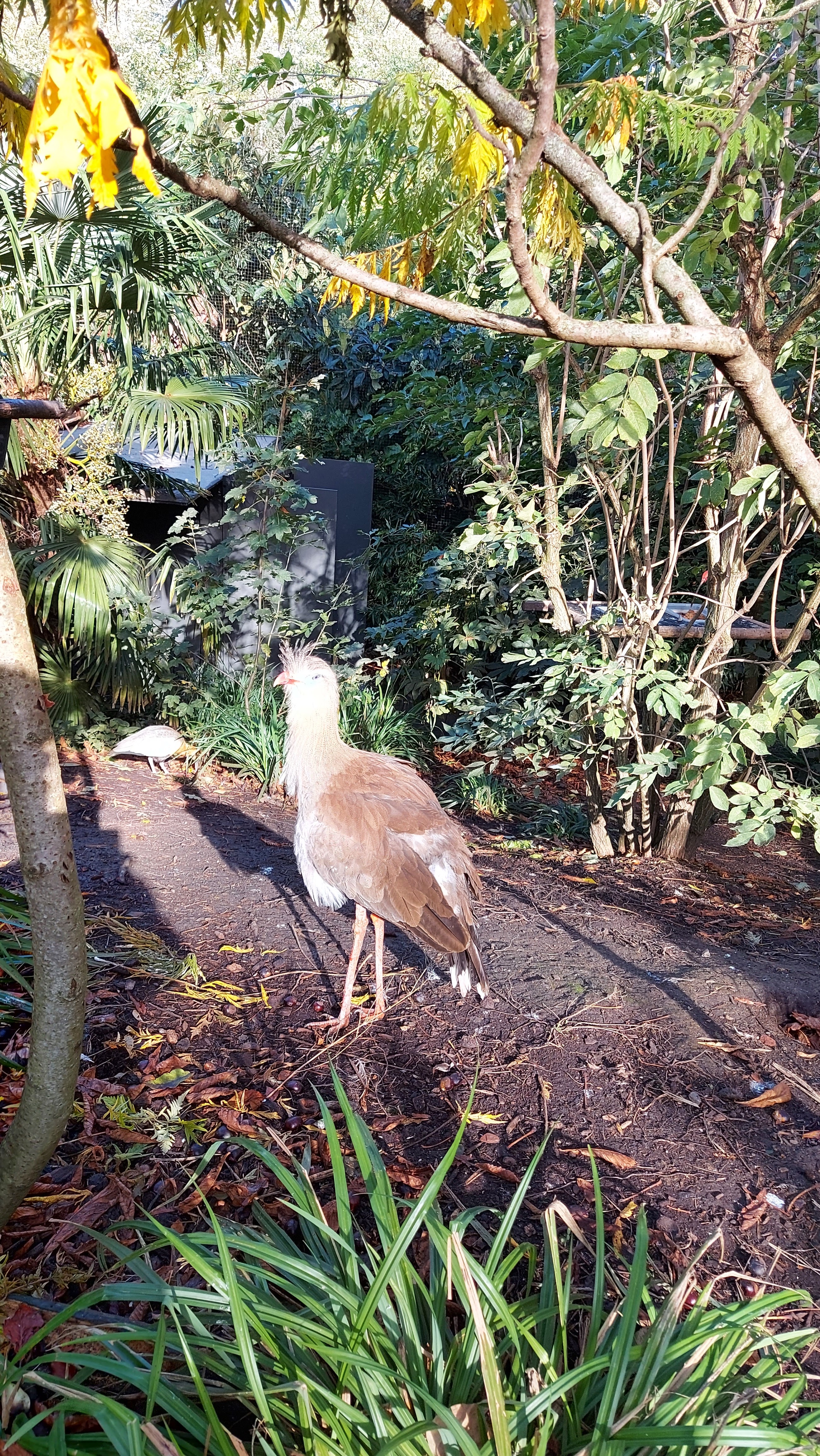 Photo n° 2 de l'avis de Jean-Luc.a fait le 28/10/2022 à 07:36