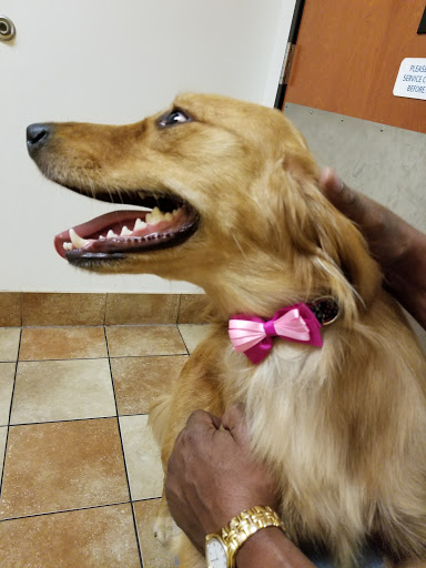 Pet Supply Store «PetSmart», reviews and photos, 2389 Taylor Park Dr, Reynoldsburg, OH 43068, USA