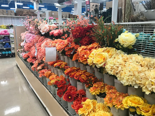 Craft Store «Michaels», reviews and photos, 300 Water Loop Ln #4, Collegeville, PA 19426, USA