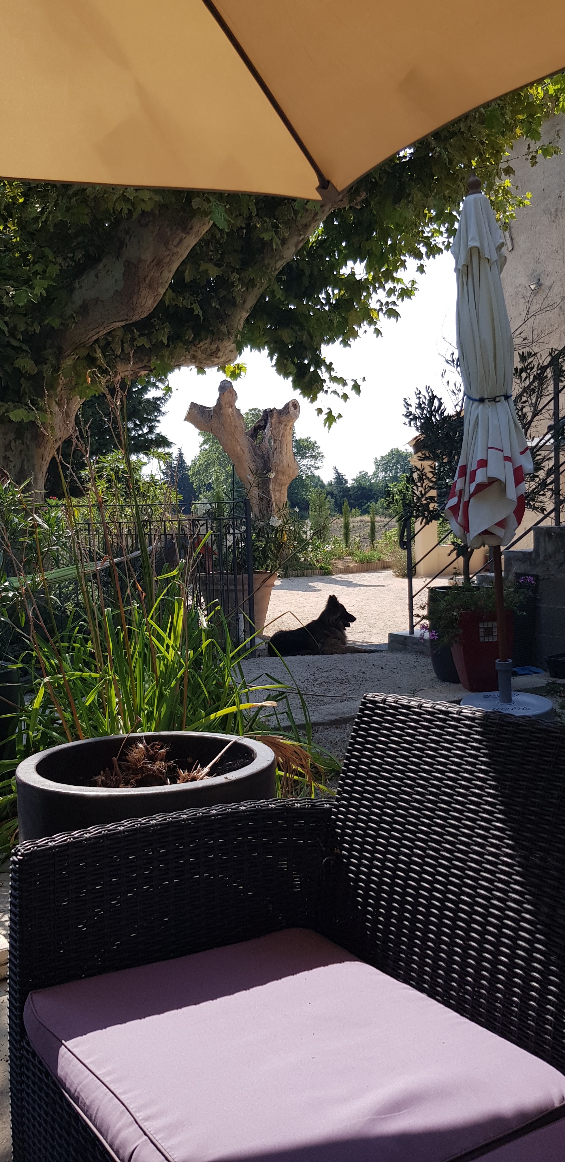 Photo n° 4 de l'avis de Essential.y fait le 23/07/2019 à 22:02