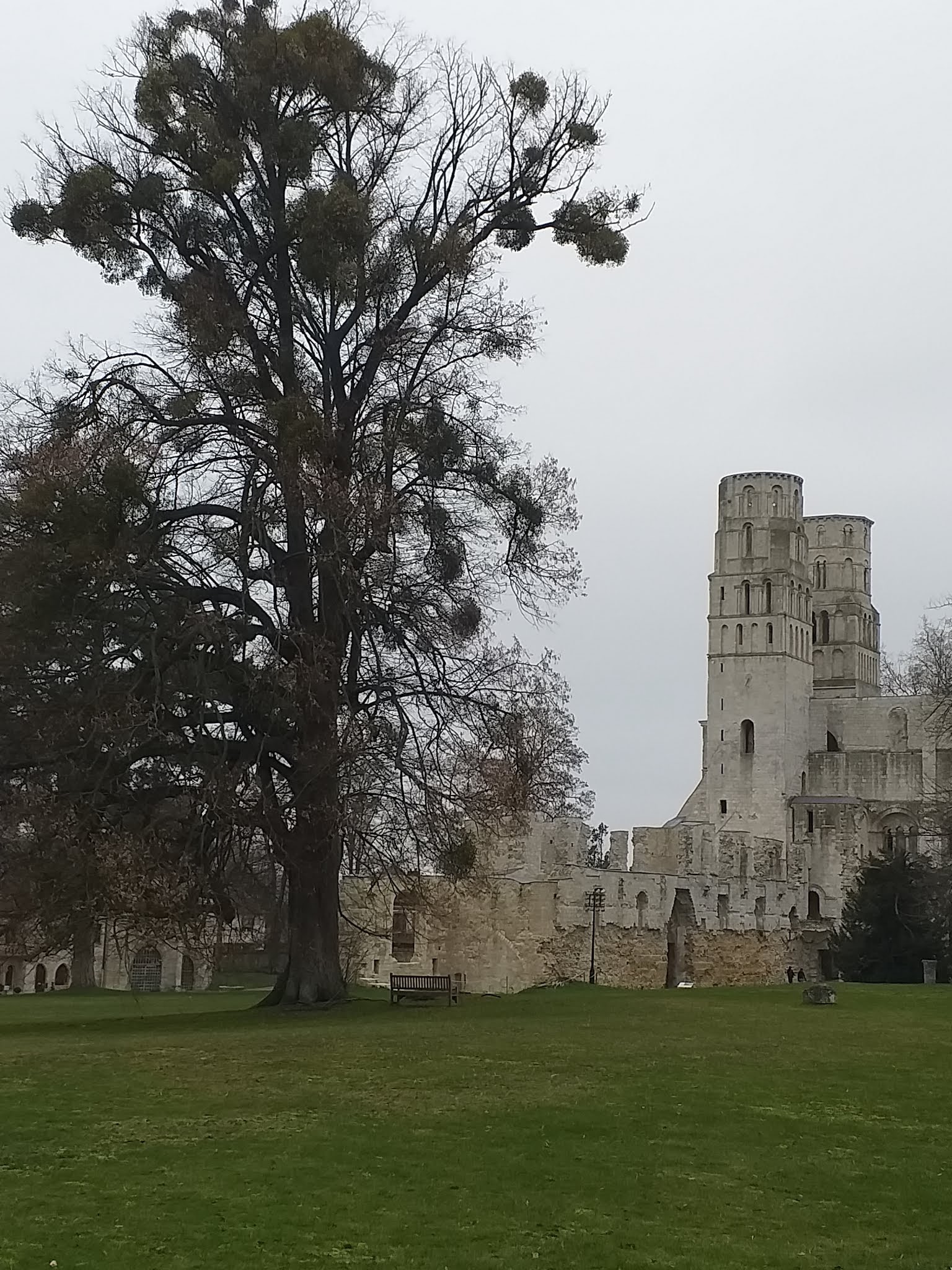 Photo n° 1 de l'avis de Nicolas.I fait le 20/01/2019 à 16:09