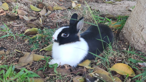 La Marina Exóticos Centro Veterinario en Elche