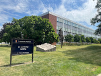 School of Art + Design