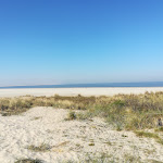 Photo n°1 de l'avis de Snake. fait le 22/04/2019 à 09:00 sur le  Kajüte à Langeoog