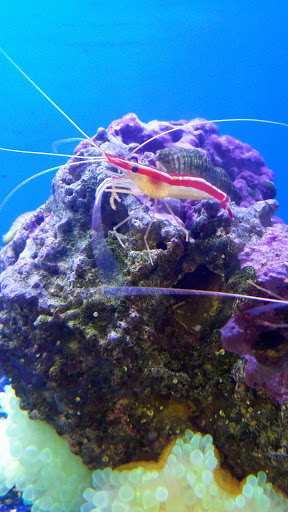 Pet Store «Pets Plus - Quakertown», reviews and photos, 117 S West End Blvd, Quakertown, PA 18951, USA