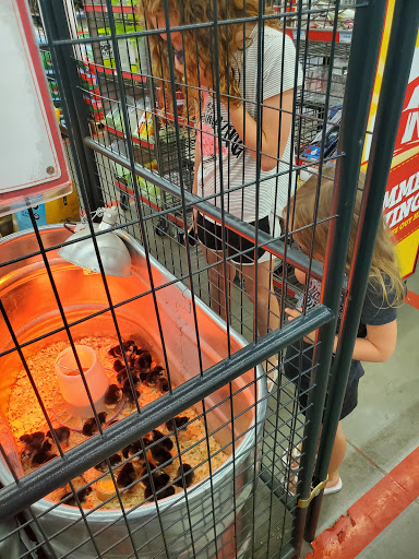 Home Improvement Store «Tractor Supply Co.», reviews and photos, 1360 Strickler Rd, Mount Joy, PA 17552, USA