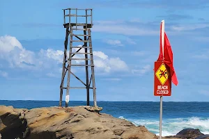 Redhead Beach Shark Tower image