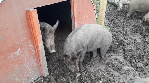 Camphill Community Clanabogan