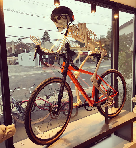 Bicycle Store «Brielle Cyclery», reviews and photos, 205 Union Ave, Brielle, NJ 08730, USA