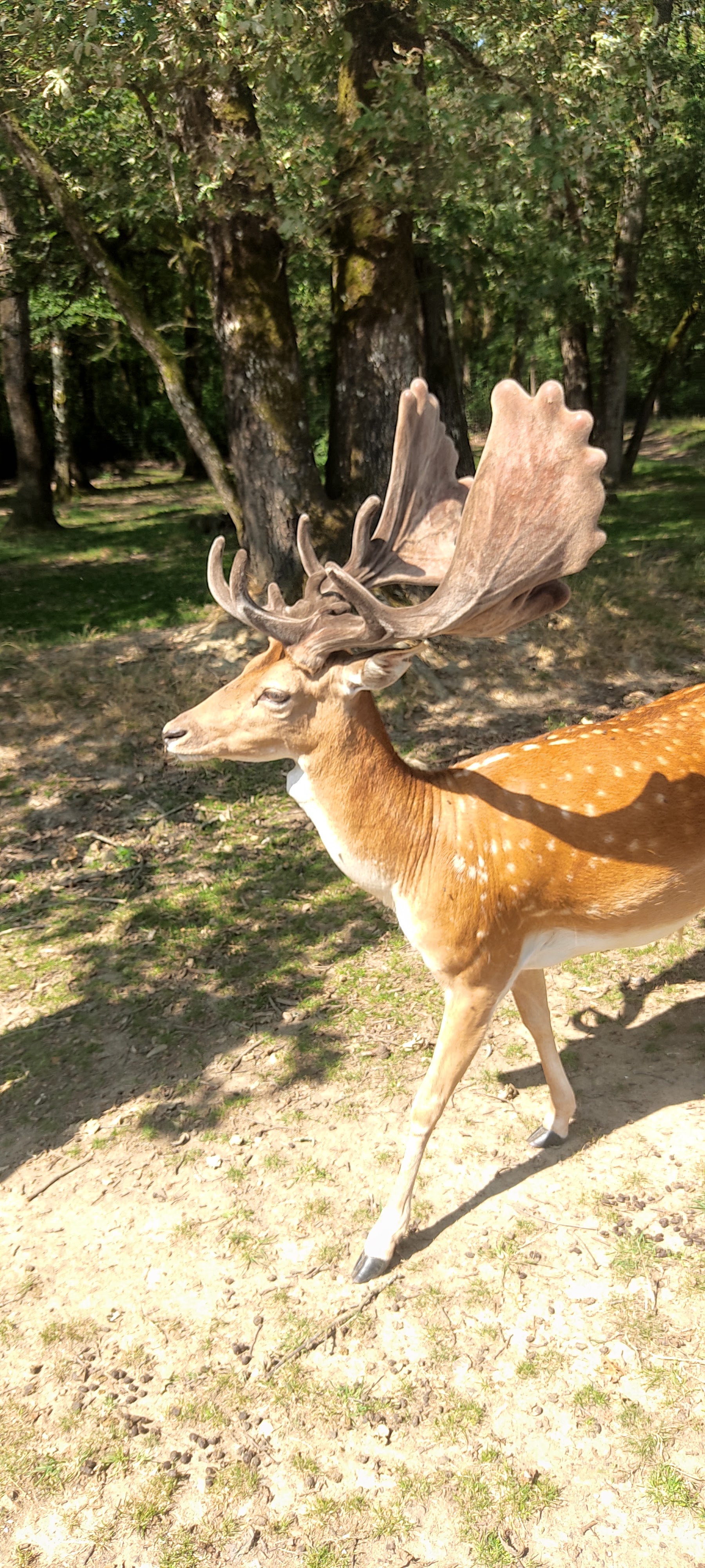 Photo n° 2 de l'avis de Sandra.� fait le 11/07/2023 à 10:52