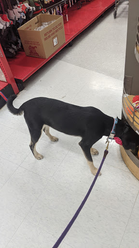 Pet Supply Store «Petco Animal Supplies», reviews and photos, 103 Commerce Way a, Woburn, MA 01801, USA