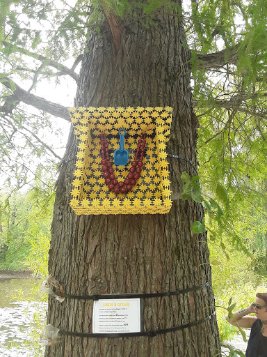 Recreation Center «Little Red Schoolhouse Nature Center», reviews and photos, 9800 Willow Springs Rd, Willow Springs, IL 60480, USA