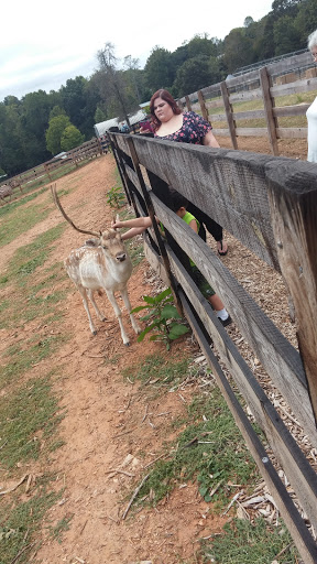 Zoo «Chestatee Wildlife Preserve & Zoo», reviews and photos, 469 Old Dahlonega Hwy, Dahlonega, GA 30533, USA