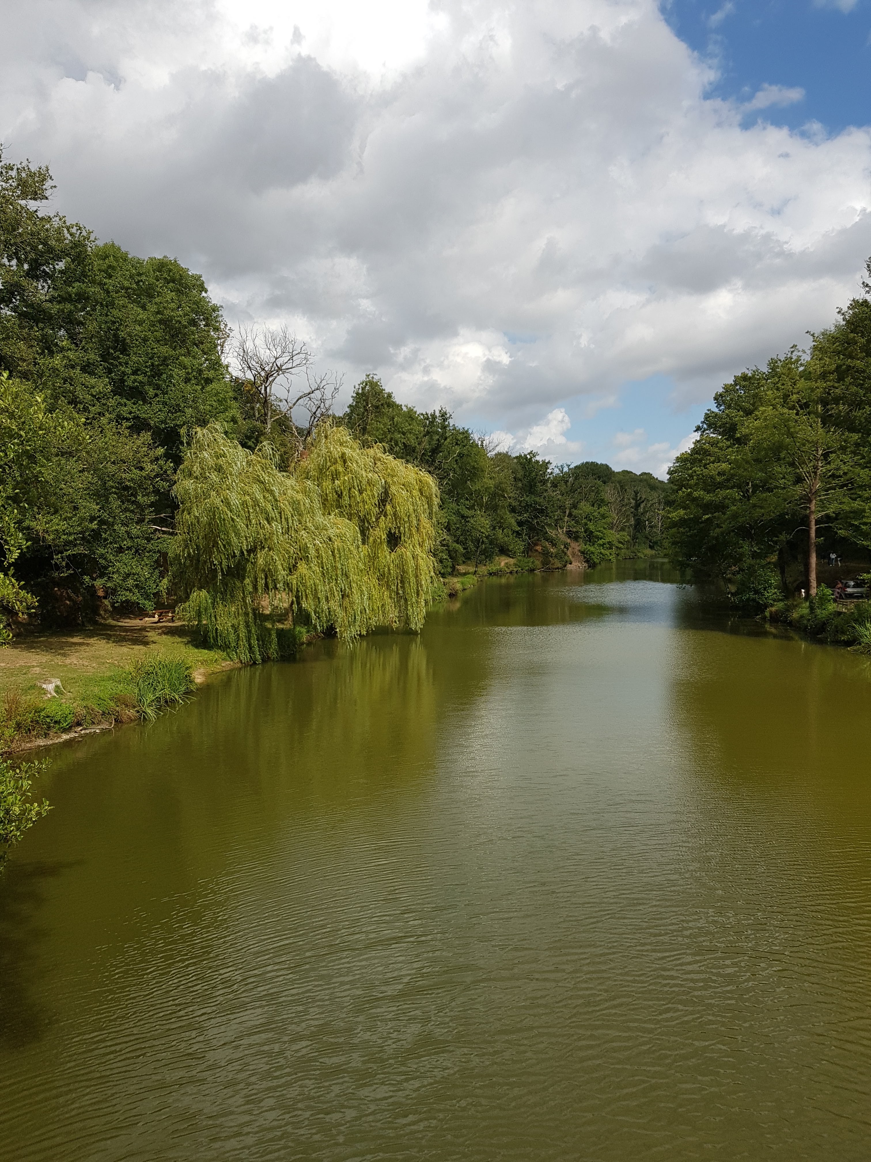 Photo n° 1 de l'avis de Seguinel.n fait le 13/08/2019 à 18:25
