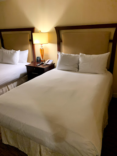 Hotel «Hilton North Raleigh/Midtown», reviews and photos, 3415 Wake Forest Rd, Raleigh, NC 27609, USA