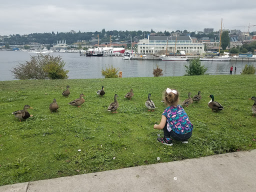 Park «Lake Union Park», reviews and photos, 860 Terry Ave N, Seattle, WA 98109, USA