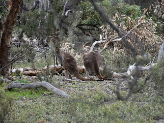 Aldinga Conservation Park