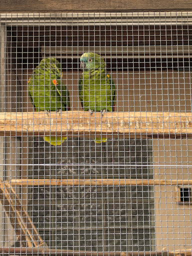 Kleintierpark Nufringen e.V. Z330 unter Nufringen, 