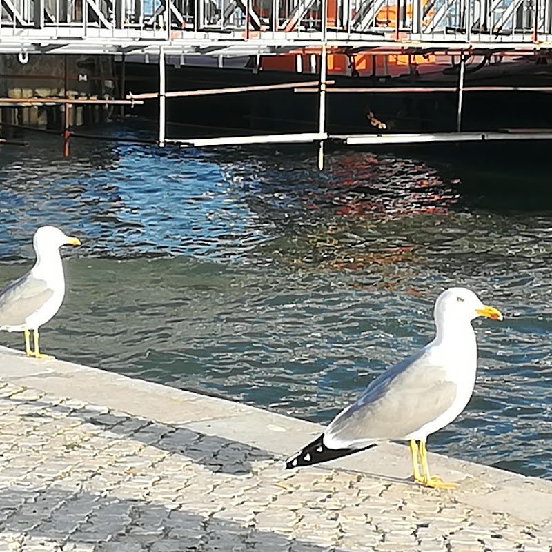 3 image