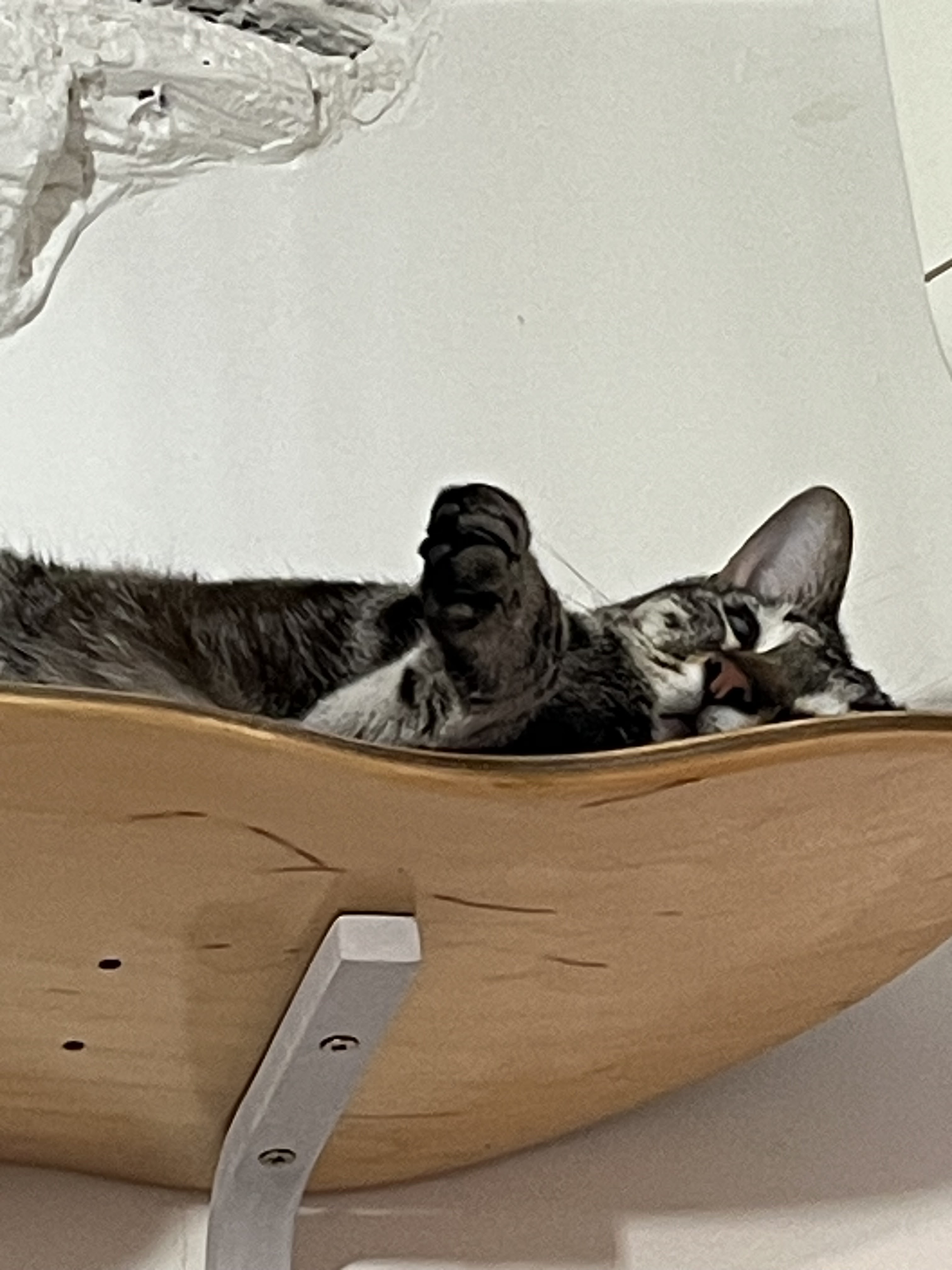 Photo n° 5 de l'avis de Thomas.e fait le 29/07/2023 à 15:28