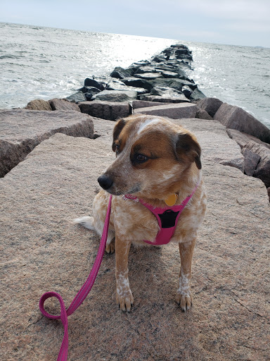 Nature Preserve «Meigs Point Nature Center», reviews and photos, 1288 Boston Post Rd, Madison, CT 06443, USA